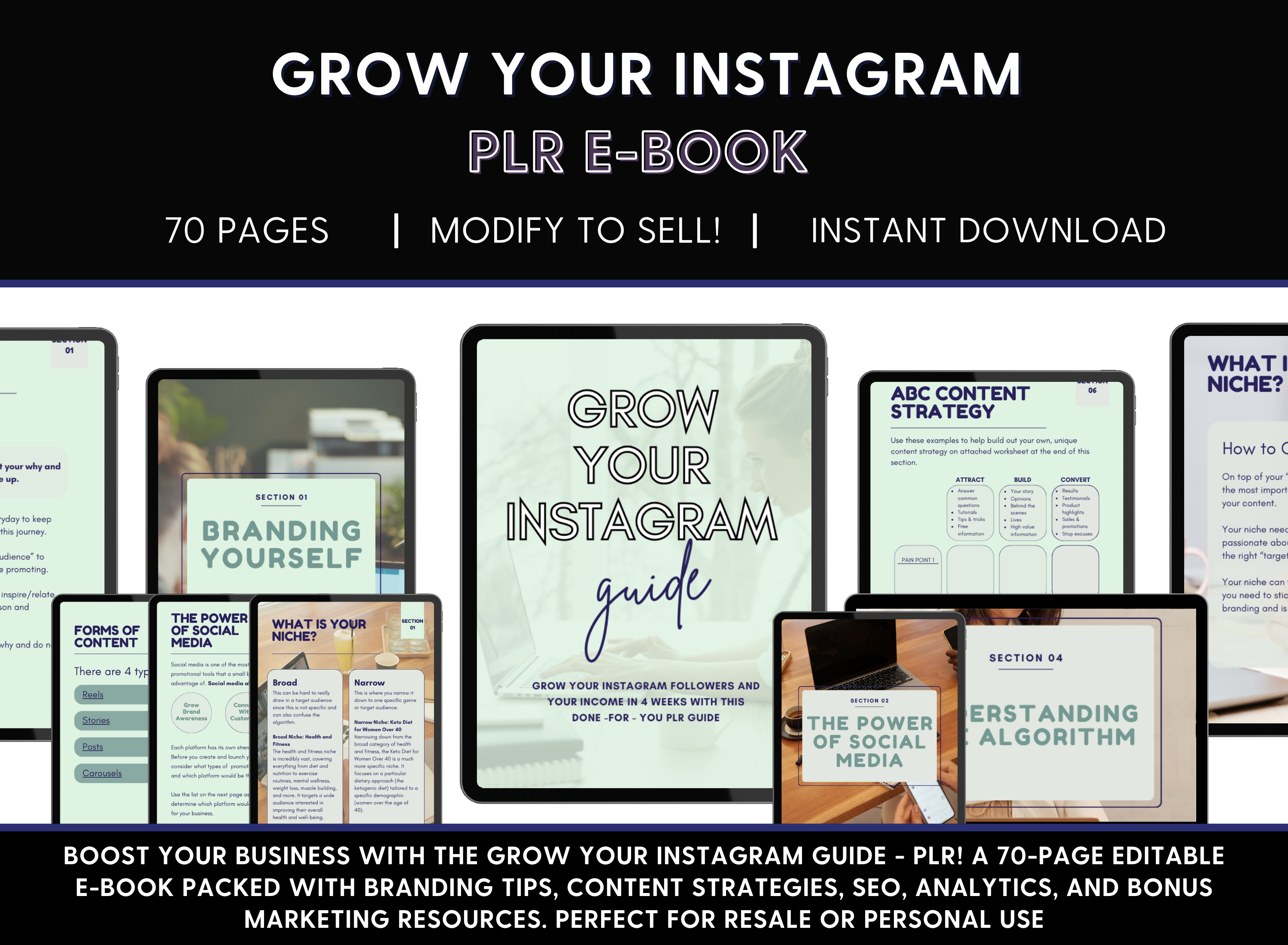 Grow Your Instagram e-Book / Guide - PLR