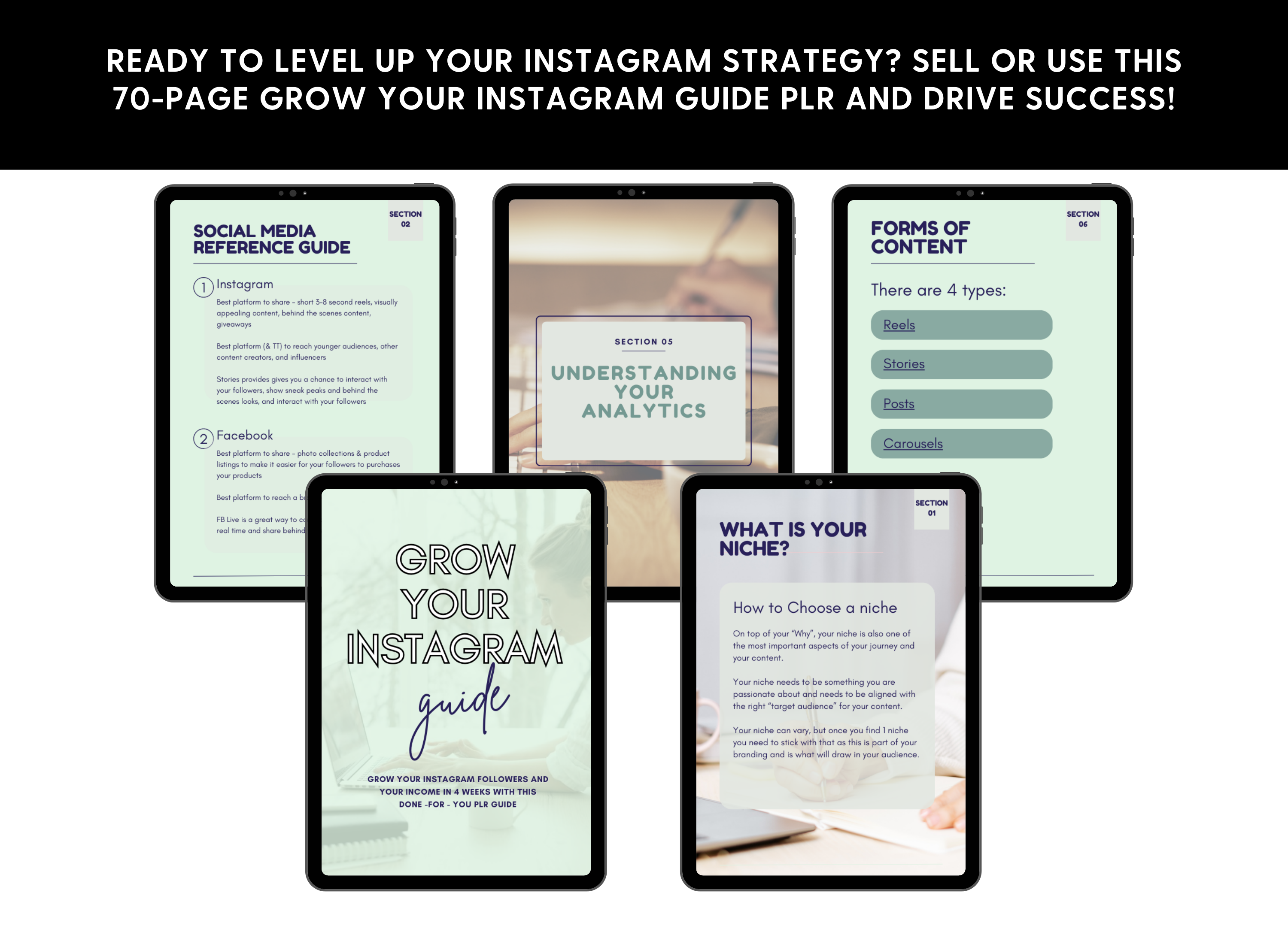 Grow Your Instagram e-Book / Guide - PLR